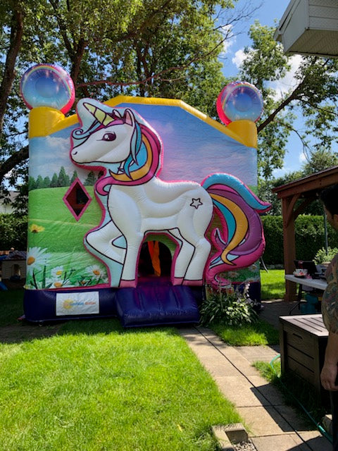 Licorne Glissade Intérieure