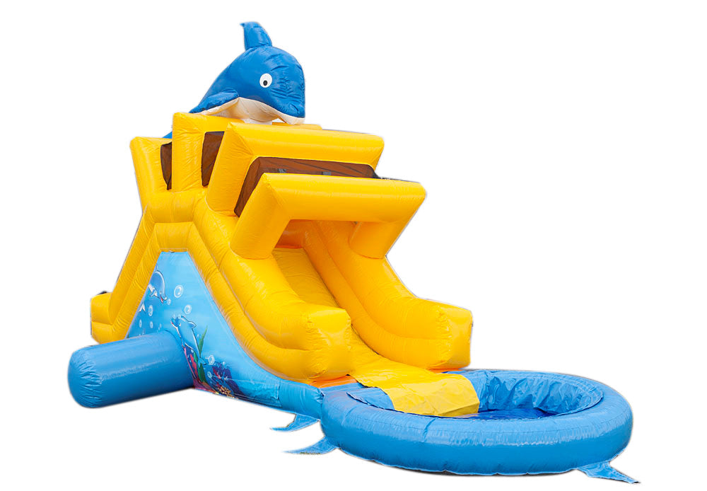 Petit Dauphin