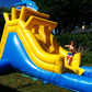 Petit Dauphin (à vendre, usagé)