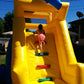 Petit Dauphin (à vendre, usagé)