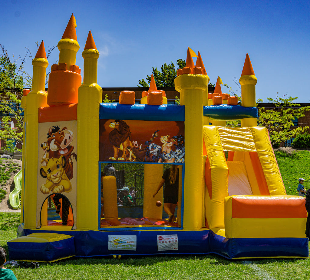 Château Roi Lion