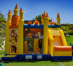 Château Roi Lion