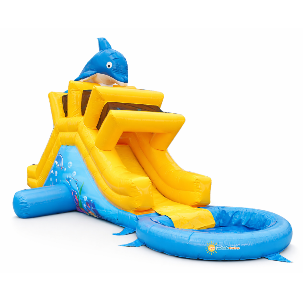 Petit Dauphin