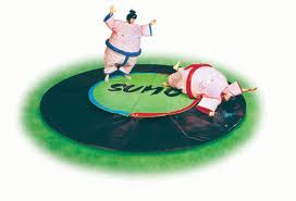 Jeux de Sumo (à vendre, usagé)
