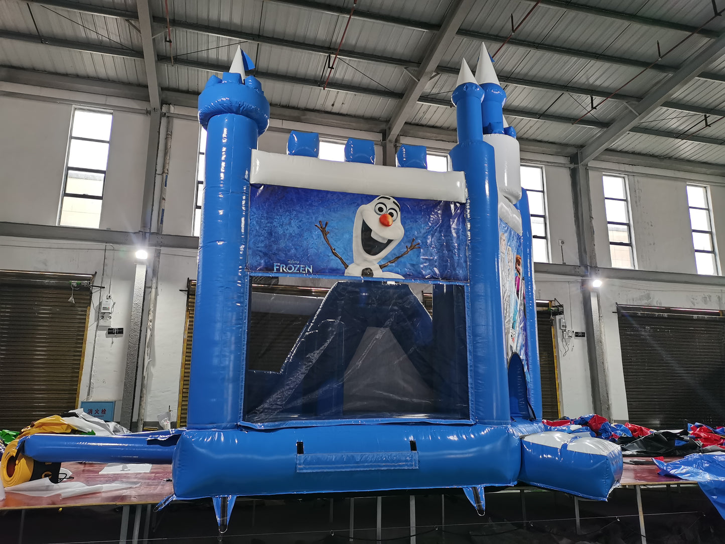 Château Reine des Neiges (Pignons Blancs)