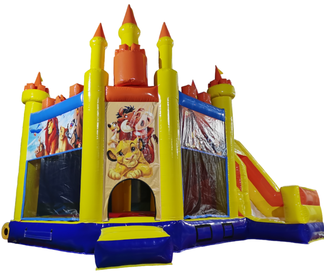 Château Roi Lion
