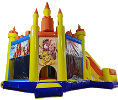 Château Roi Lion