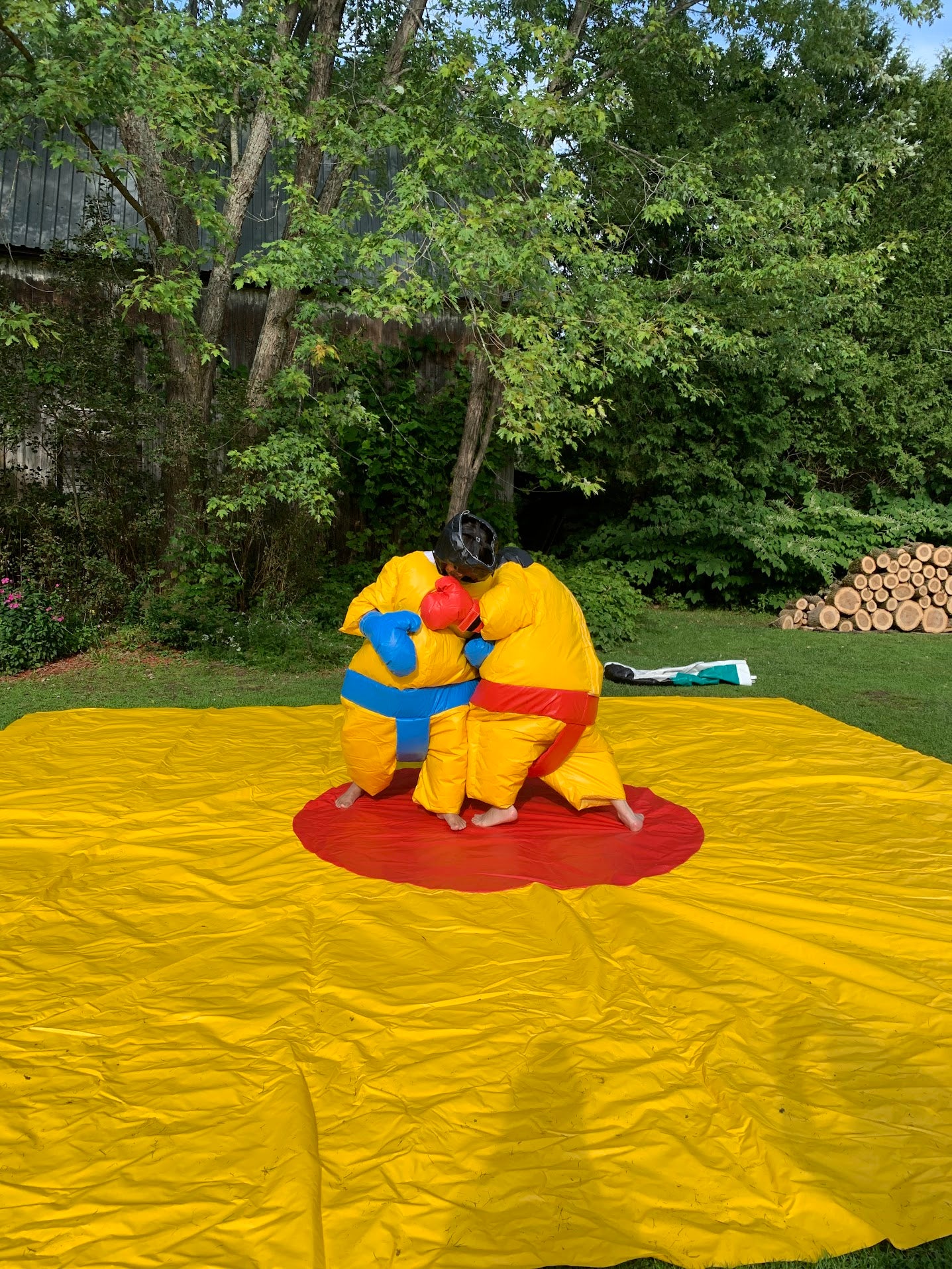 Sumo Petit (5-12 ans)