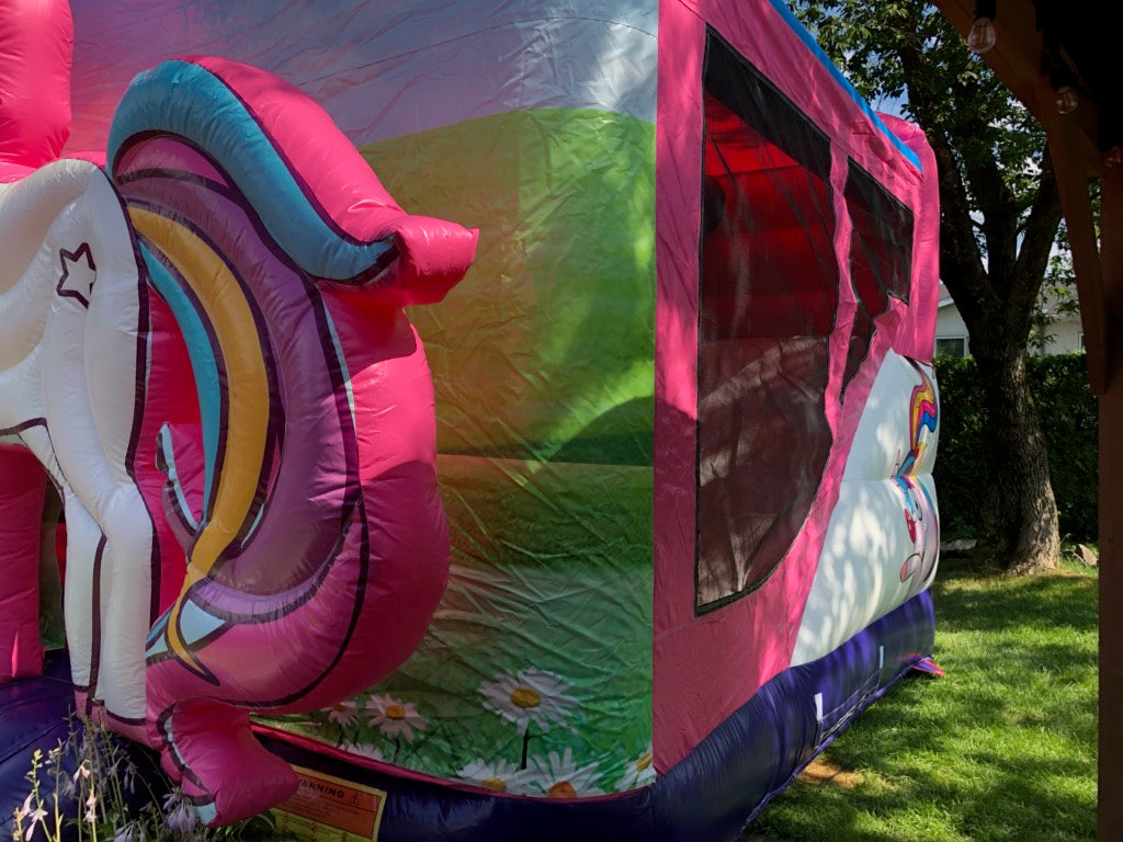 Licorne Glissade Intérieure